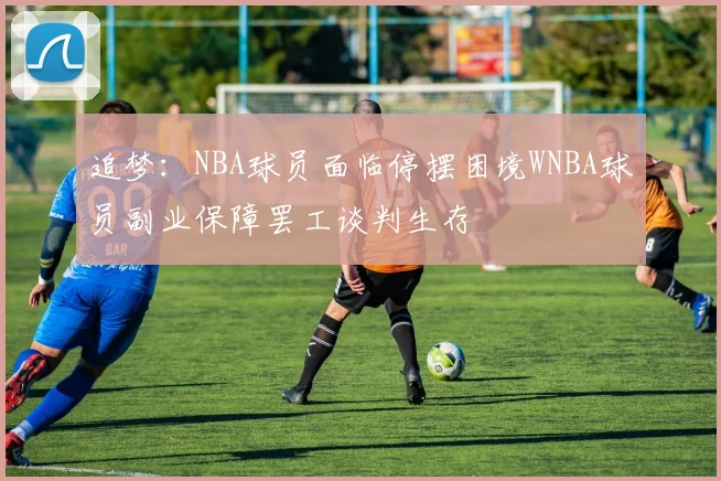 追梦：NBA球员面临停摆困境WNBA球员副业保障罢工谈判生存