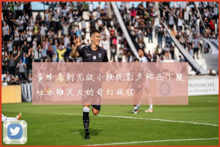 黄蜂毒刺无效小杨观影夕阳西下腹吐冰锥灭火的奇幻旅程